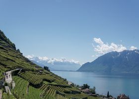 Ridge Line Hike & Sip